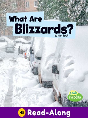cover image of What Are Blizzards?